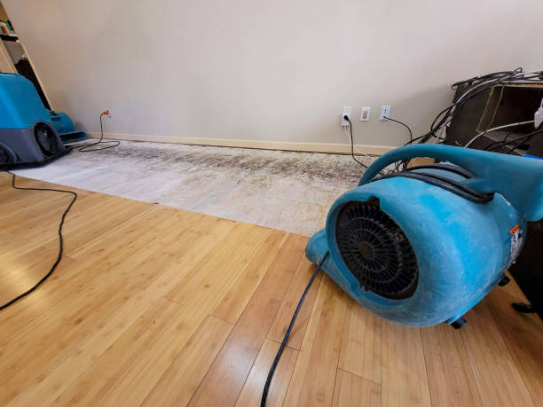 Professional Structural Drying technician working in Bullock, NC